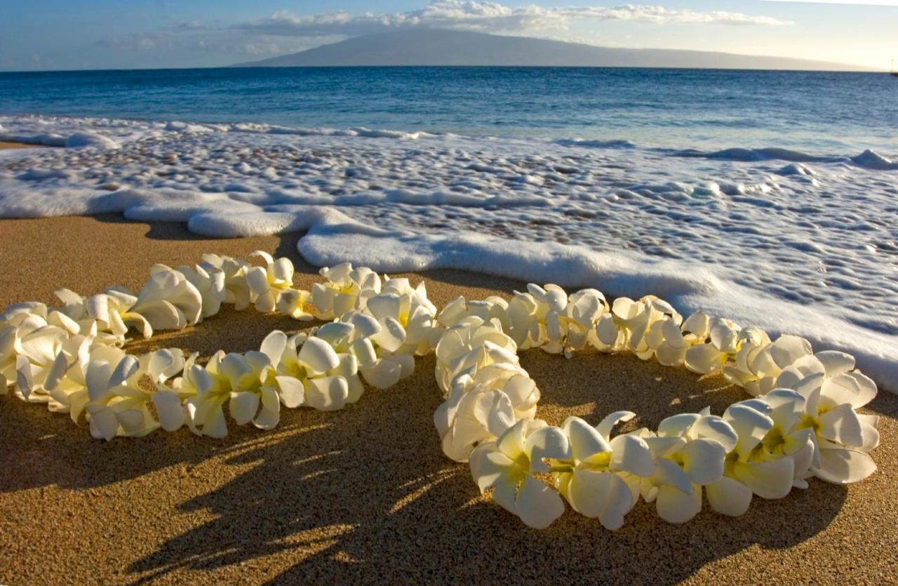 Mountain View Getaway, Free Parking And Beach Steps Away Honolulu Kültér fotó