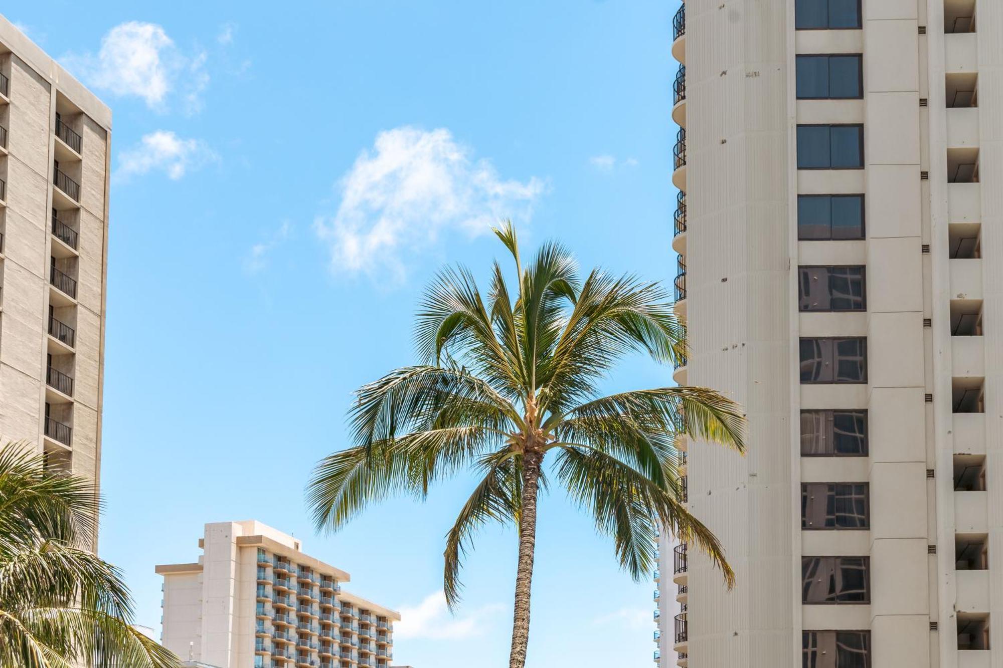 Mountain View Getaway, Free Parking And Beach Steps Away Honolulu Kültér fotó